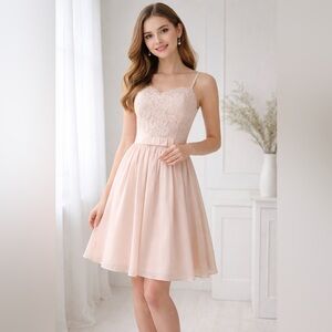 NWOT Ted Baker Mimee  Lace Bodice Chiffon Midi Dress Blush Pink, 4 Coquette Prom